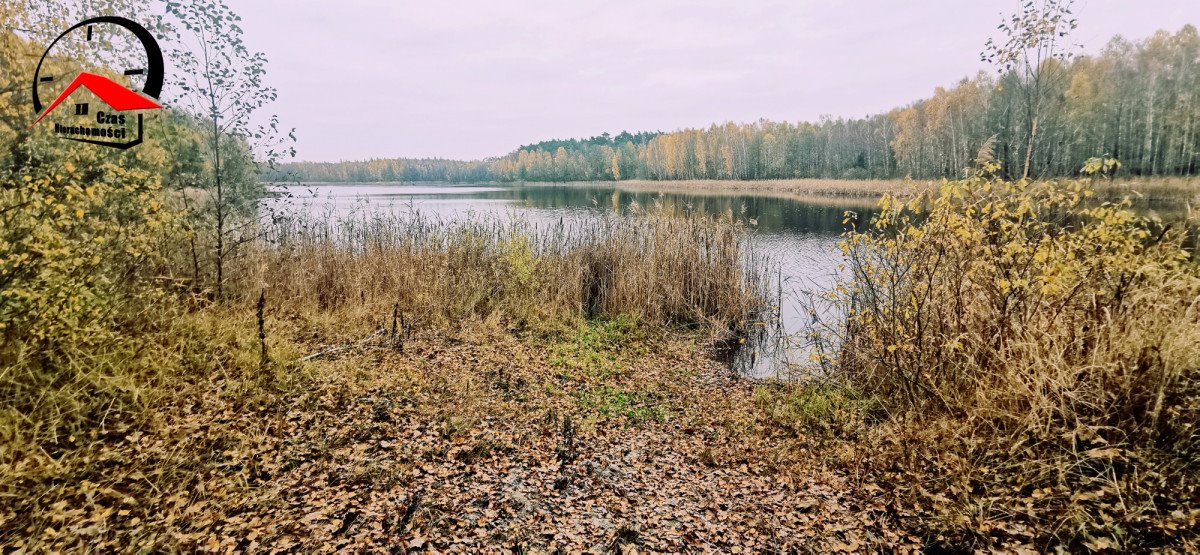 Działka gospodarstwo rolne na sprzedaż Gołąbki  138 960m2 Foto 17