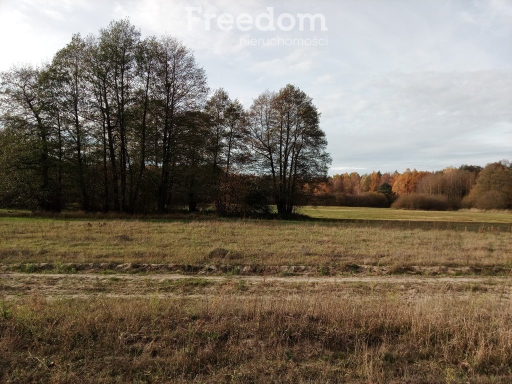 Działka budowlana na sprzedaż Trzęśniew  802m2 Foto 1