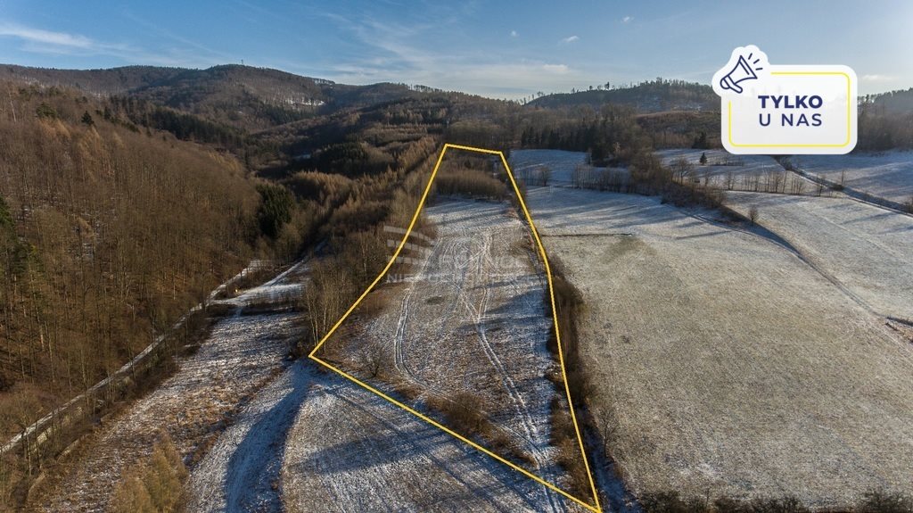 Działka budowlana na sprzedaż Wojciechowice  41 000m2 Foto 1