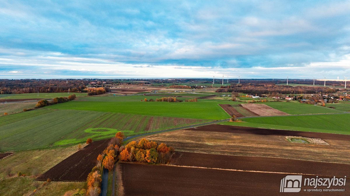 Działka budowlana na sprzedaż Stojkowo, Wieś  3 344m2 Foto 10