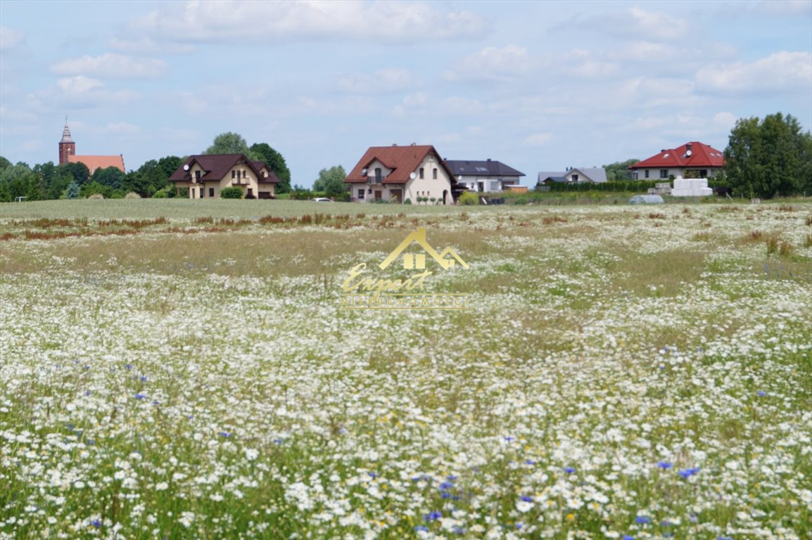Działka 2663 m² nad jeziorem Suskim z możliwością zabudowy Adamowo  2 663m2 Foto 1