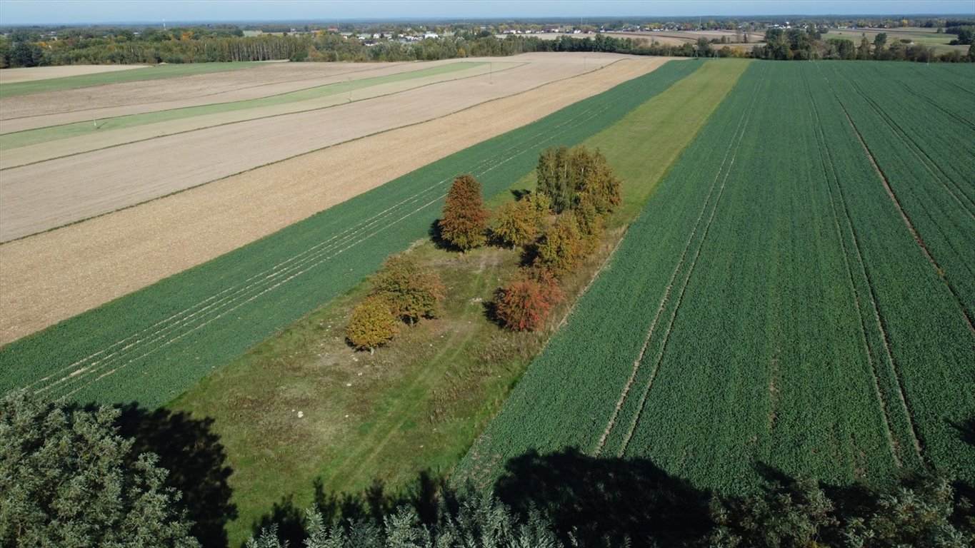 Działka rolna na sprzedaż Szczytno  20 000m2 Foto 11