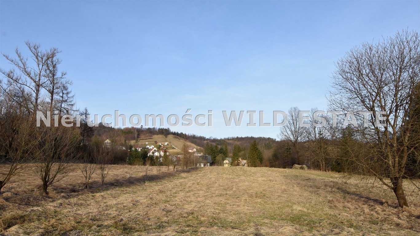 Działka budowlana 42 arów z warunkami zabudowy w Wołkowyji Solina, Wołkowyja  4 225m2 Foto 1