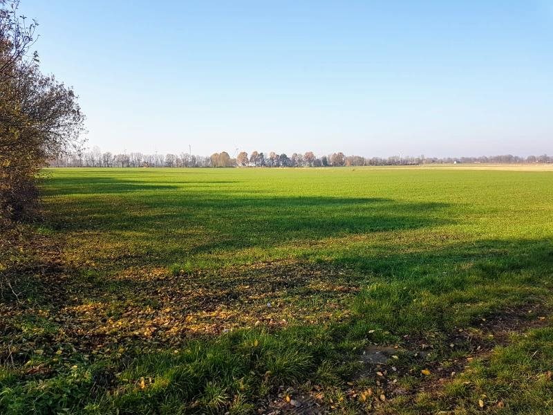 Działka przemysłowo-handlowa na sprzedaż Wocławy, XXX 38 134m2 Foto 1 Działka przemysłowo-handlowa na sprzedaż Wocławy, XXX 38 134m2 Foto 1
