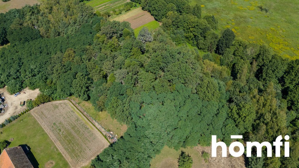 Działka inna na sprzedaż Masłowiec  3 000m2 Foto 6