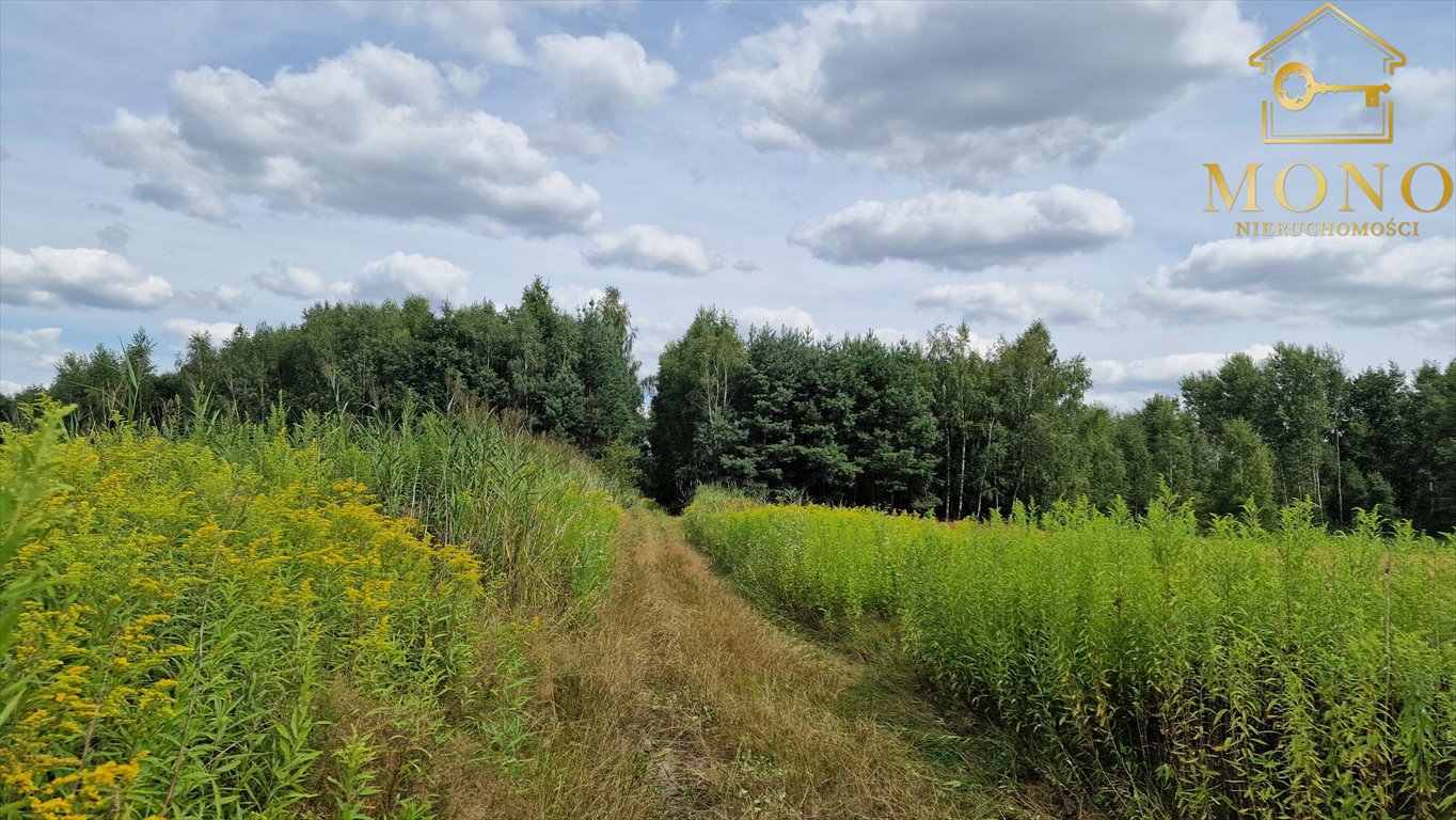 Działka rolna na sprzedaż Gadawa  13 350m2 Foto 3