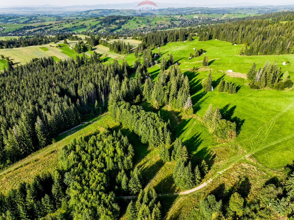 Działka rolna na sprzedaż Dzianisz  6 560m2 Foto 2