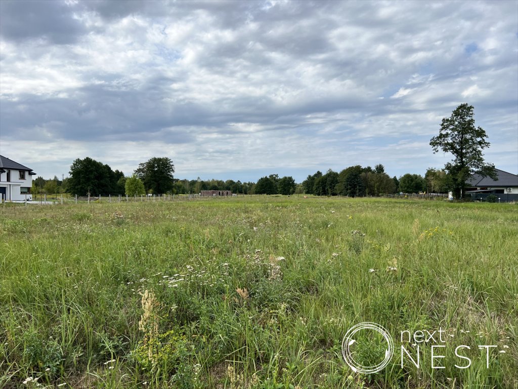 Działka budowlana na sprzedaż Siedliska  1 300m2 Foto 3