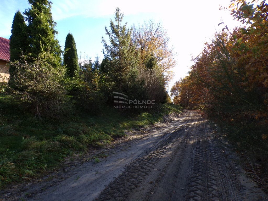 Działka budowlana na sprzedaż Wierzchocino  2 000m2 Foto 13