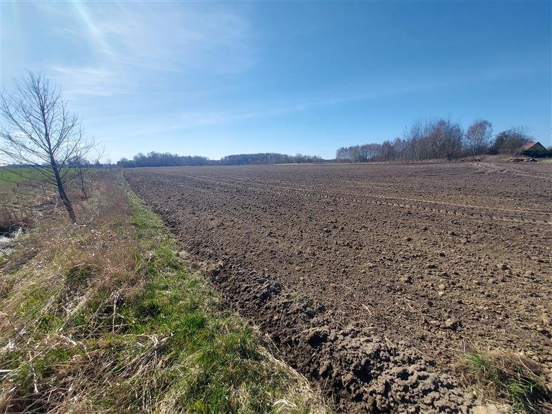 Działka budowlana na sprzedaż Gleźnowo, Gleźnowo  28 200m2 Foto 4