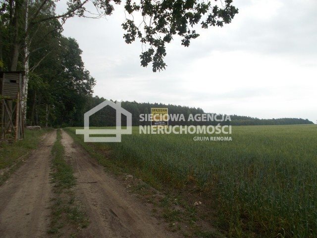 Działka rolna na sprzedaż Mszano  41 960m2 Foto 1