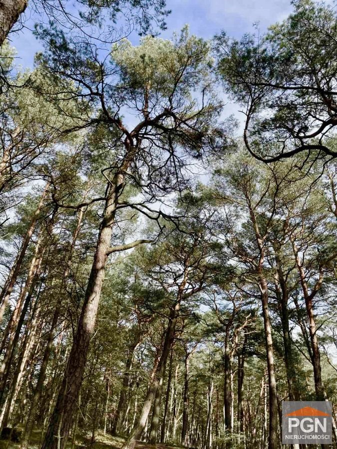 Działka 2337 m² pod pensjonat w Mrzeżynie - polecam! Mrzeżyno  2 337m2 Foto 1