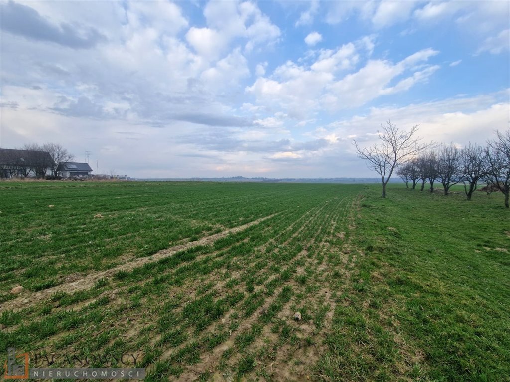 Działka inna na sprzedaż Cianowice Duże  9 194m2 Foto 1