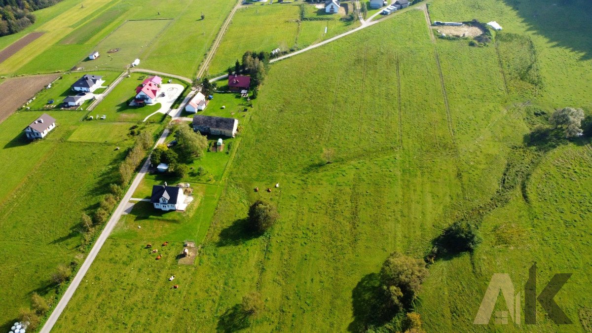 Działka budowlana na sprzedaż Florynka  1 010m2 Foto 4