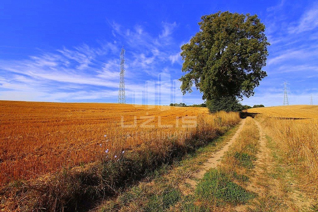 Działka inna na sprzedaż Rywałd  10 138m2 Foto 14