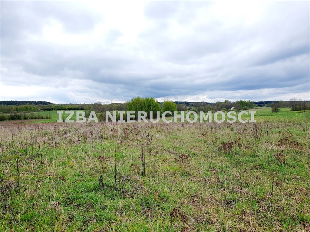 Działka rekreacyjna na sprzedaż Krokocie  3 000m2 Foto 4