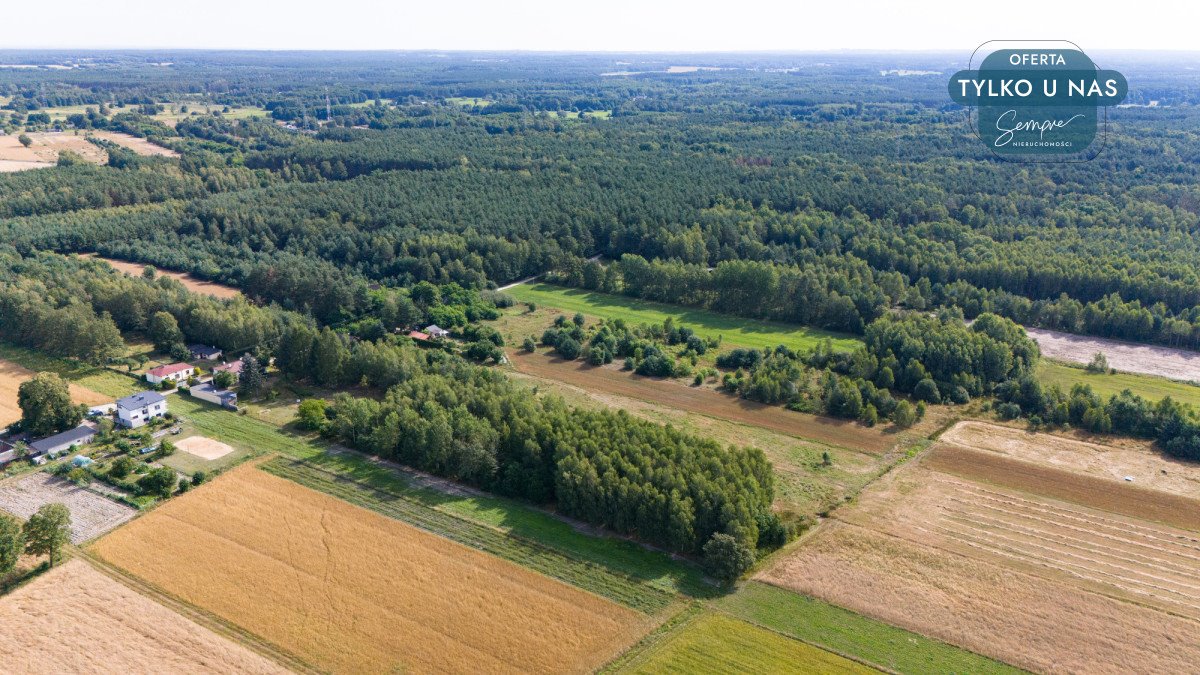 Działka rolna na sprzedaż Zelów  26 000m2 Foto 4