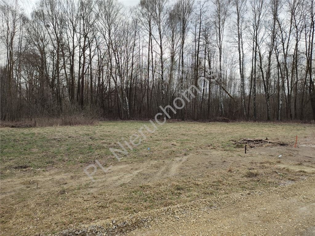 Działka budowlana 6000 m² pod lasem z mediami, Radonie Radonie  6 000m2 Foto 1