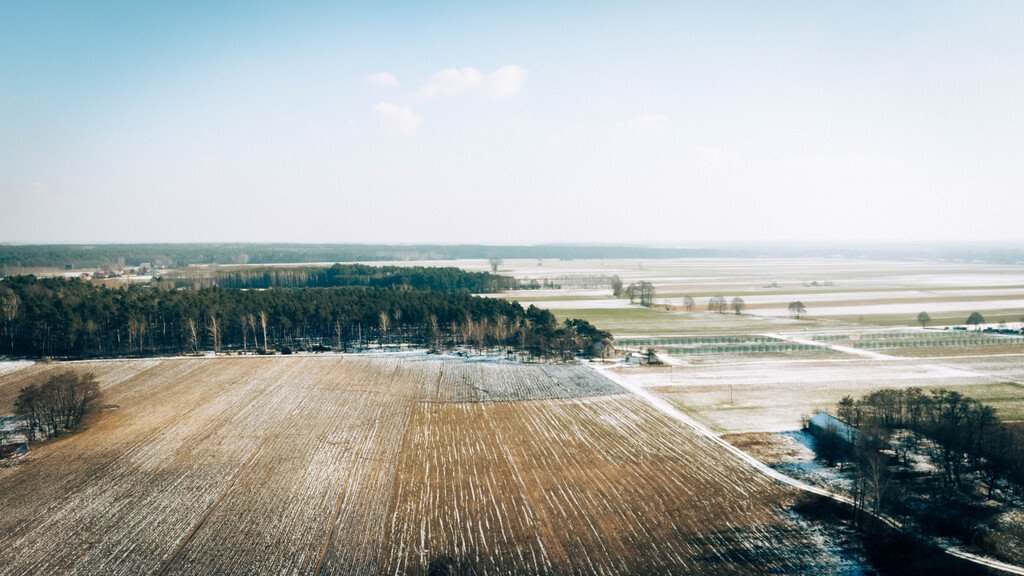 Działka budowlana na sprzedaż Bałdrzychów  1 380m2 Foto 12