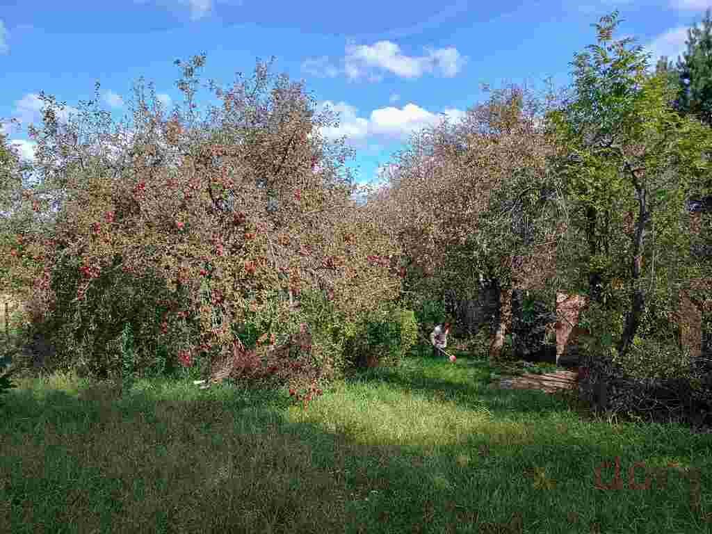 Działka budowlana na sprzedaż Kielce  2 655m2 Foto 1