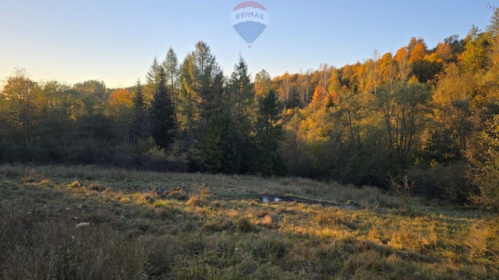 Działka rolna na sprzedaż Szczawnica  2 578m2 Foto 4