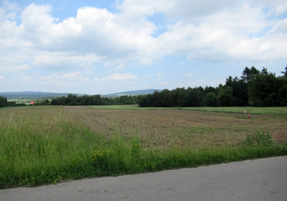 Działka budowlana na sprzedaż Wola Łagowska  2 000m2 Foto 3