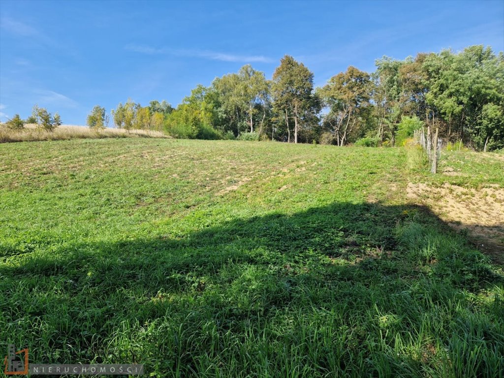 Działka inna na sprzedaż Biskupice  2 813m2 Foto 3