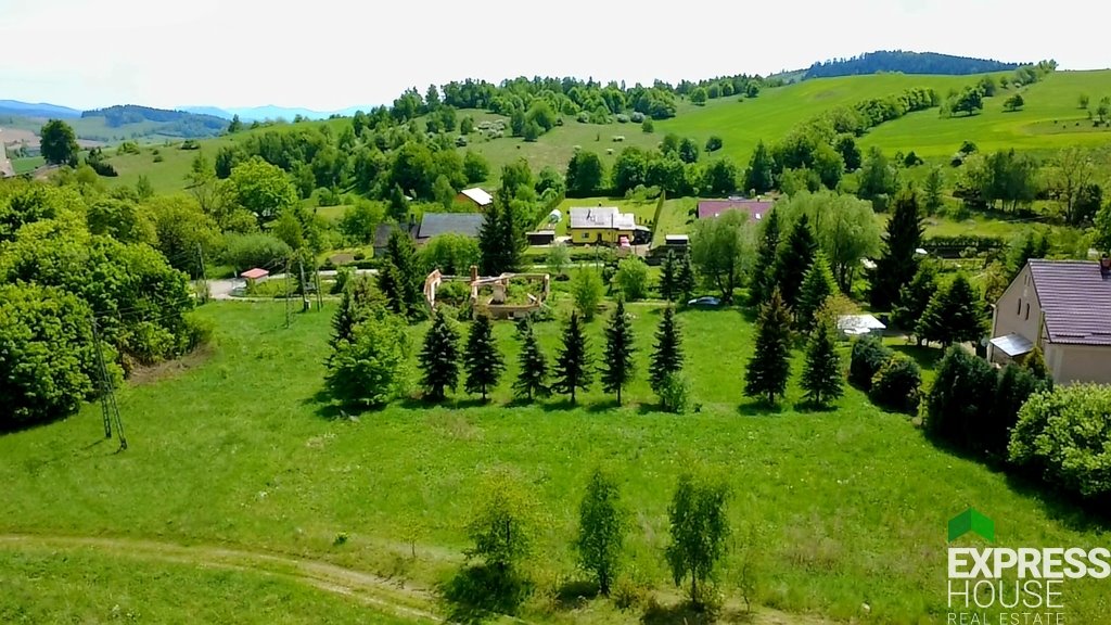 Działka 5200 m² w malowniczym Gostkowie, blisko Gór Sudetów Gostków, Główna  5 200m2 Foto 1
