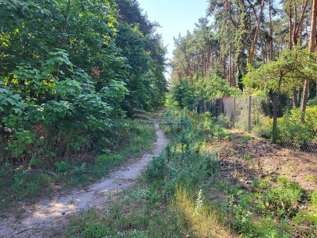 Działka leśna z prawem budowy na sprzedaż Zielonka, Rolna  2 502m2 Foto 4