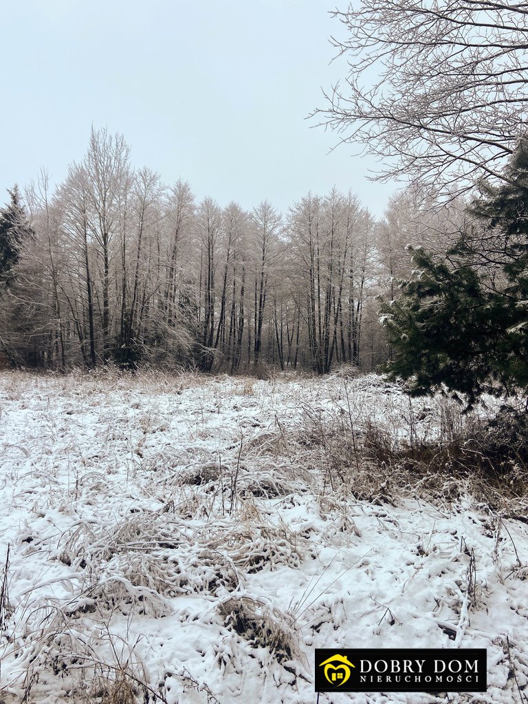 Malownicza działka 3000 m² pod lasem, media, blisko Białegostoku Chmielnik  3 000m2 Foto 1