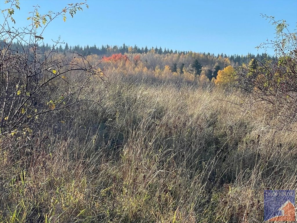 Działka budowlana na sprzedaż Stara Wieś  2 100m2 Foto 16