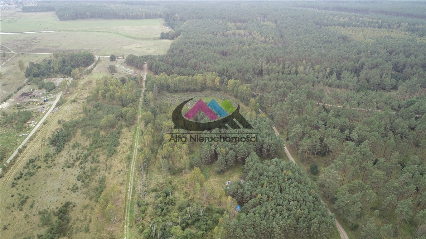Działka 3663 m2 z możliwością budowy w otoczeniu lasu Niekursko  3 663m2 Foto 1