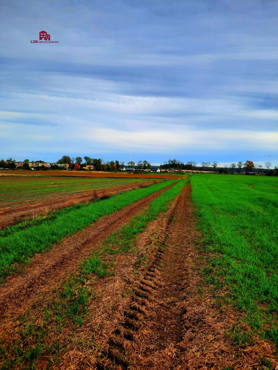 Działka budowlana na sprzedaż Łęczyce  17 800m2 Foto 4