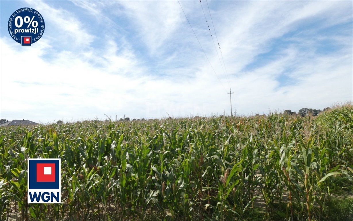 Działka budowlana na sprzedaż Ostrów Wielkopolski, Lewkowiec, Lewkowiec  2 504m2 Foto 3