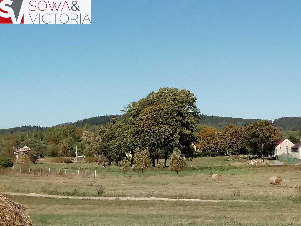 Działka budowlana na sprzedaż Krzeszówek  1 107m2 Foto 2