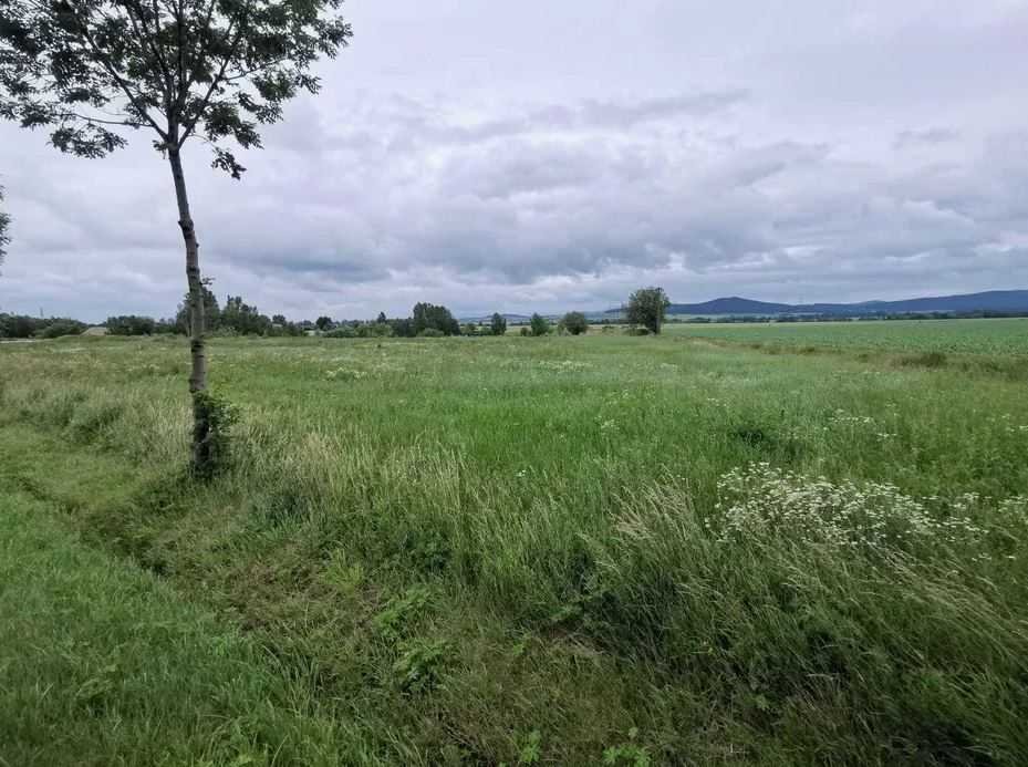 Działka inna na sprzedaż Ząbkowice Śląskie  5 000m2 Foto 3