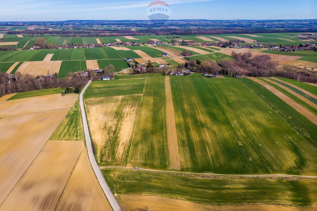 Działka budowlana na sprzedaż Grzegorzowice Wielkie  3 200m2 Foto 10