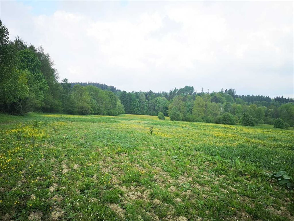 Działka gospodarstwo rolne na sprzedaż Bystrzyca Kłodzka  30 000m2 Foto 3