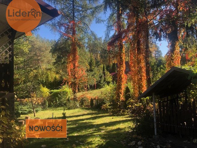 Dom rekreacyjny 100 m² z tarasem i działką 694 m² w Dłużku Dłużek  100m2 Foto 1