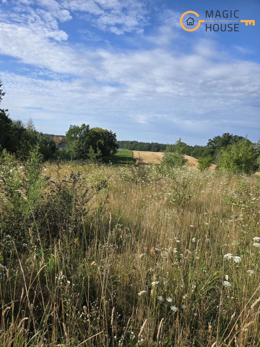 Działka budowlana na sprzedaż Skrzeszewo Żukowskie  1 142m2 Foto 1