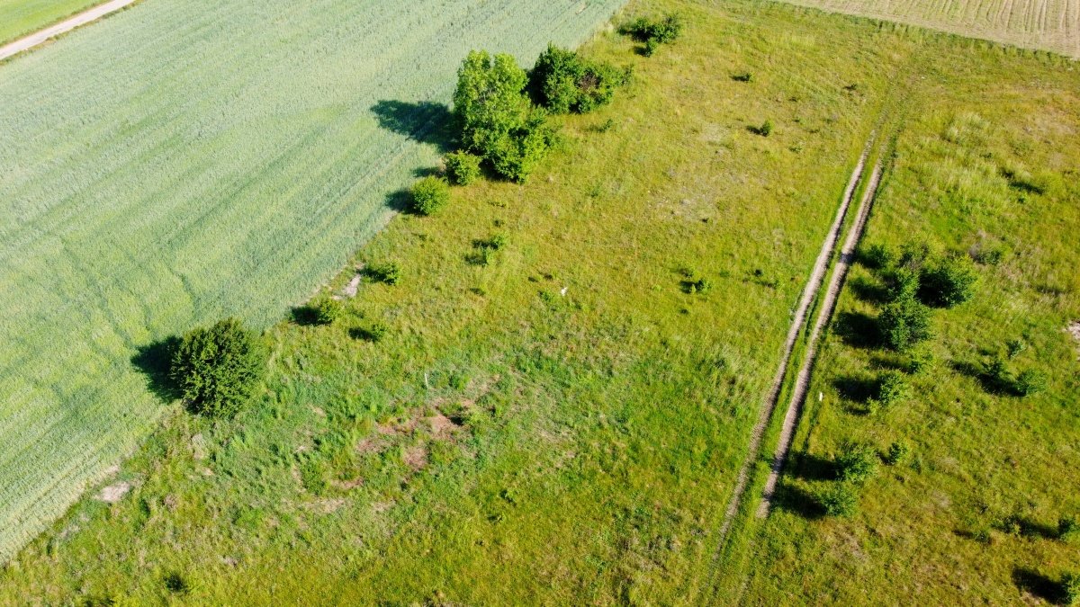 Działka budowlana na sprzedaż Dobrzewino, Łąkowa  1 149m2 Foto 5