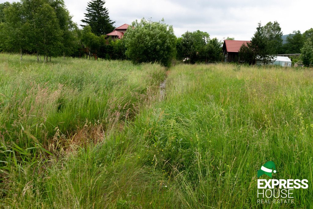 Działka budowlana na sprzedaż Stronie Śląskie  4 069m2 Foto 6