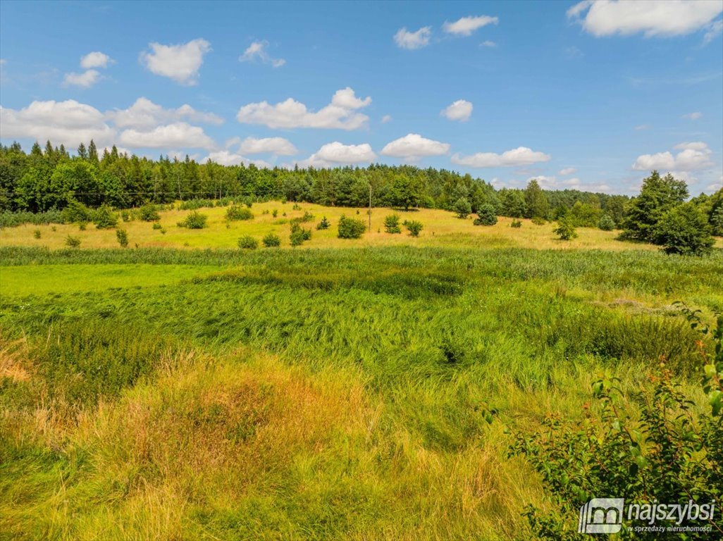 Działka rolna na sprzedaż Chojna  23 200m2 Foto 12