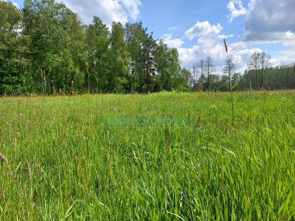 Działka budowlana na sprzedaż Opypy  1 930m2 Foto 2