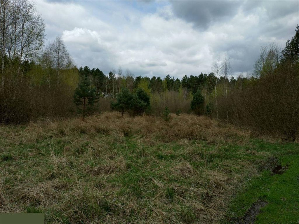 Działka budowlana na sprzedaż Żytno  2 400m2 Foto 1