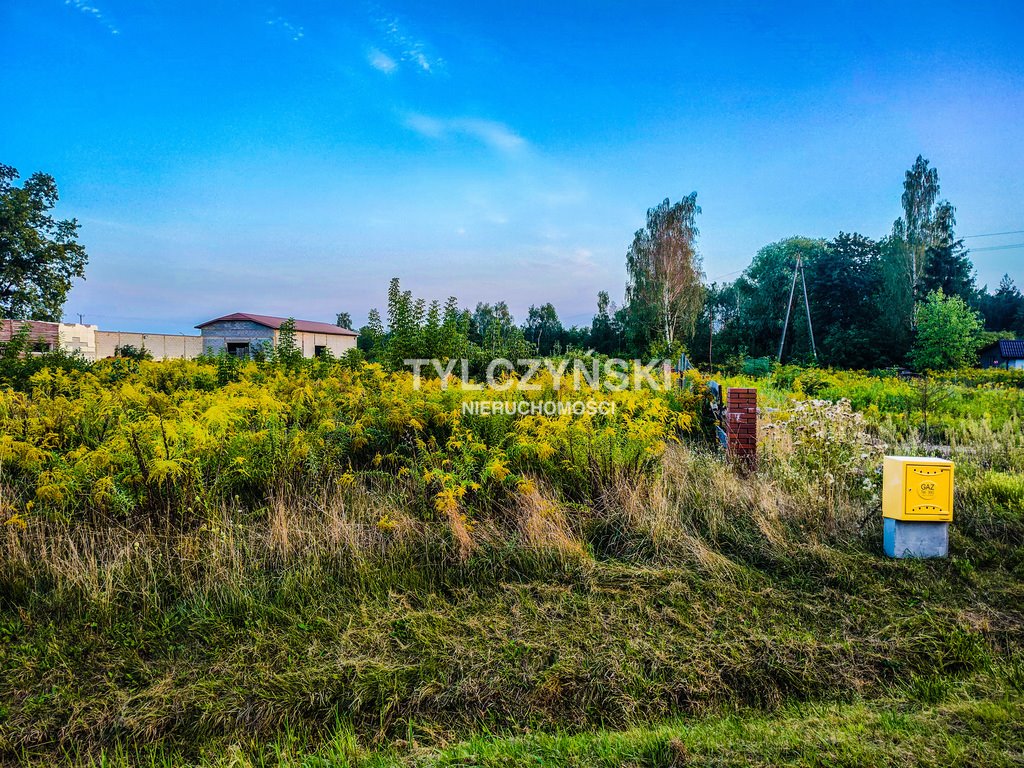 Działka budowlana na sprzedaż Kozerki  10 800m2 Foto 6