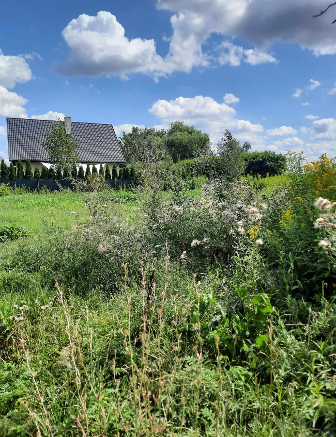 Działka budowlana na sprzedaż Wierzbin, Królowej Marysieńki  2 160m2 Foto 5