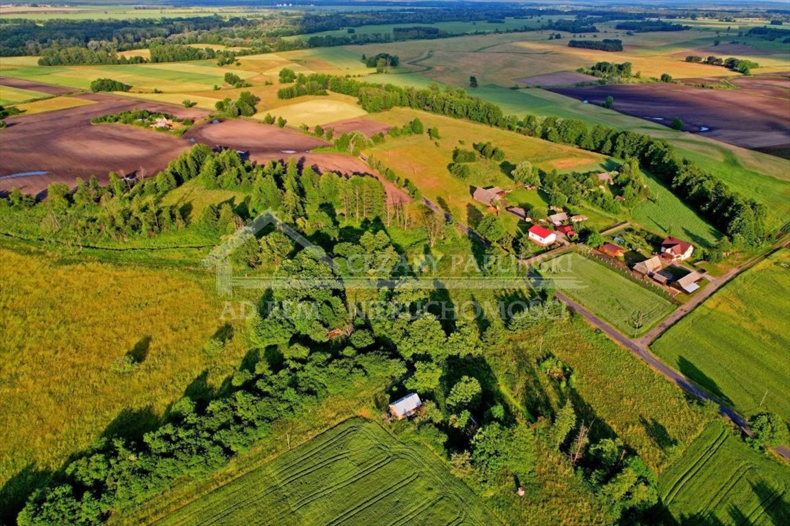 Działka inwestycyjna na sprzedaż Dobratycze-Kolonia, Terespol, Dobratycze-Kolonia  3 960m2 Foto 7