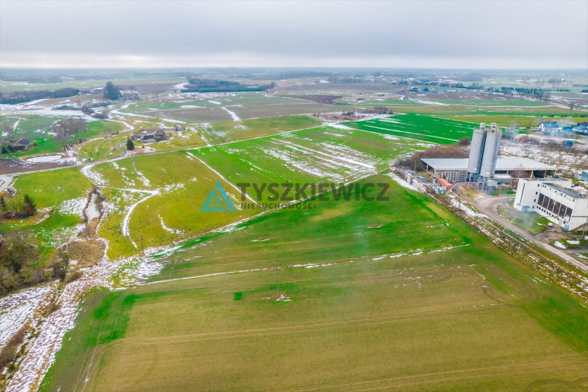 Działka przemysłowo-handlowa na sprzedaż Wielki Klincz  6 900m2 Foto 4