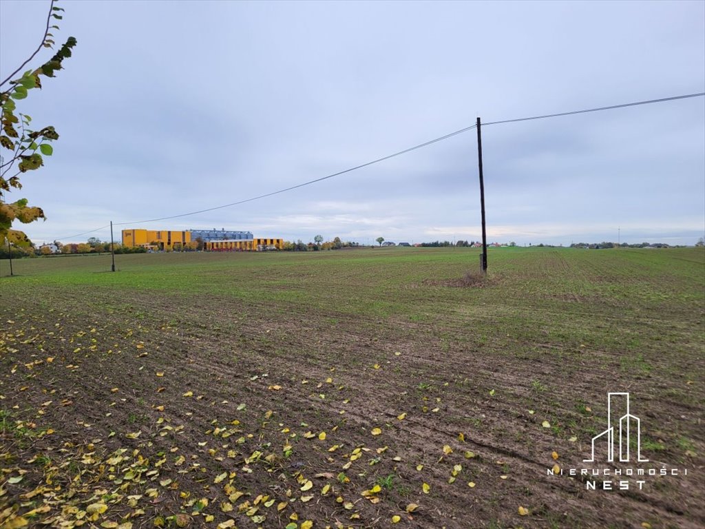 Działka przemysłowo-handlowa na sprzedaż Sękowo, Sękowo działka AG  40 000m2 Foto 6